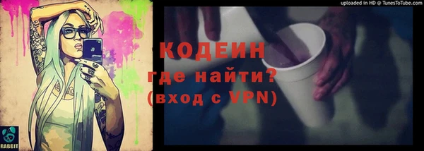 индика Медвежьегорск