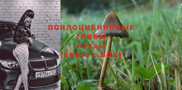 кокаин колумбия Алзамай
